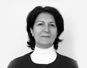 Kartepe Zirvesi
