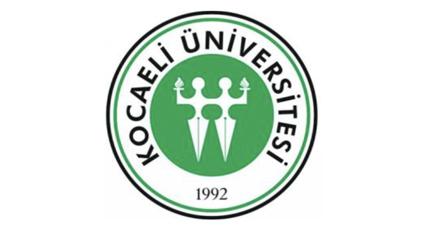 Owl Image