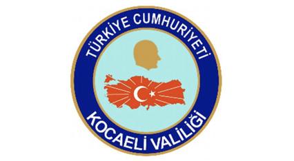Owl Image